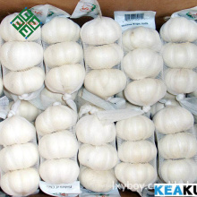 2018 china factory supply chinese fresh 3p pure white garlic